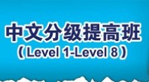 中文分级提高班 （Level 1-Level 8）