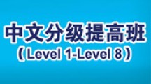 中文分级提高班（Level 1-Level 8）
