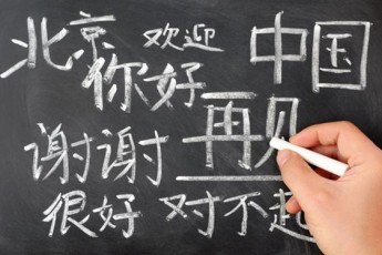 华夏中文学校阳阳六年级