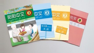 阳阳中文 三年级