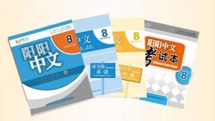 阳阳中文 八年级