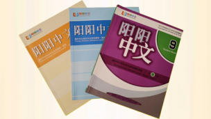 阳阳中文 九年级
