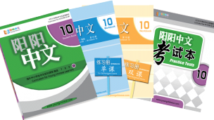 阳阳中文 十年级
